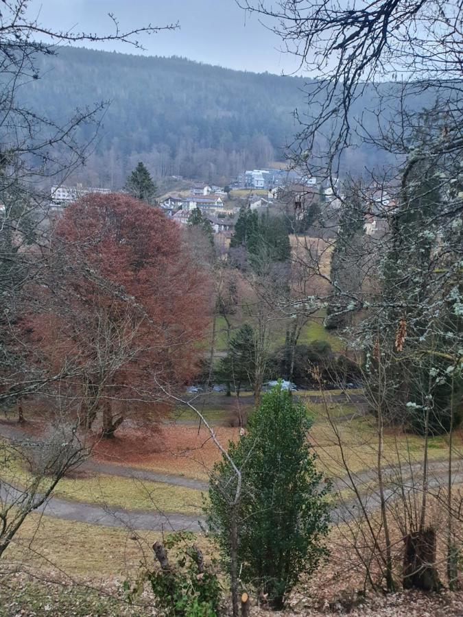 Ferienwohnung Nina Direkt In Zentrum Bad Wildbad Εξωτερικό φωτογραφία