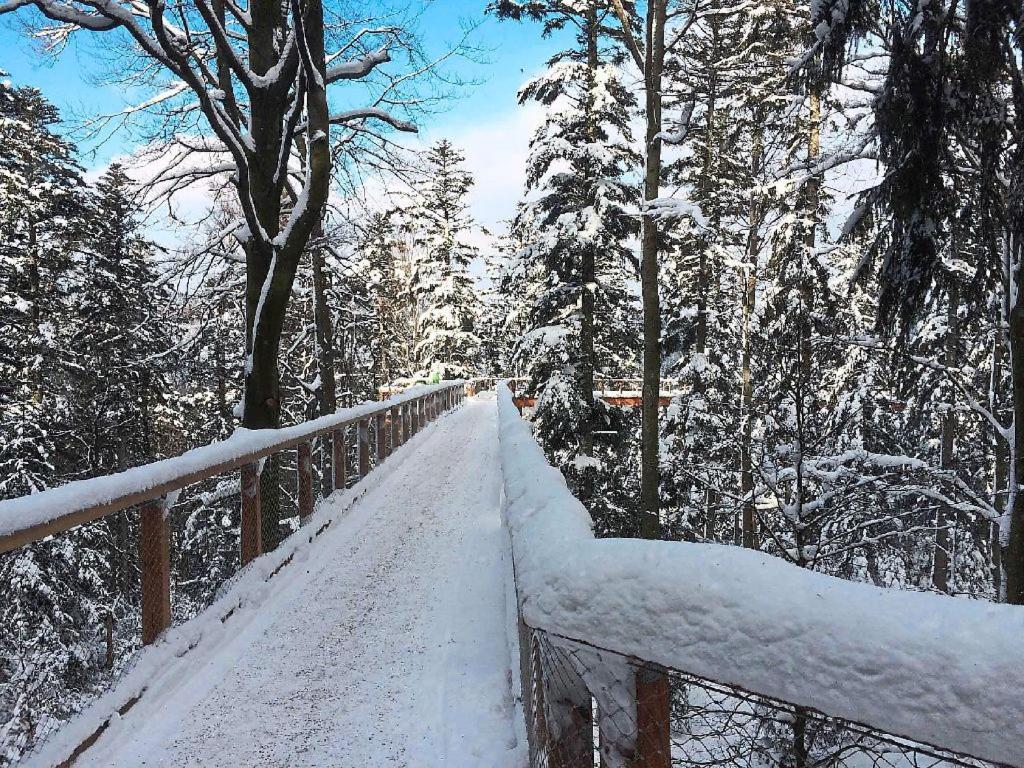 Ferienwohnung Nina Direkt In Zentrum Bad Wildbad Εξωτερικό φωτογραφία